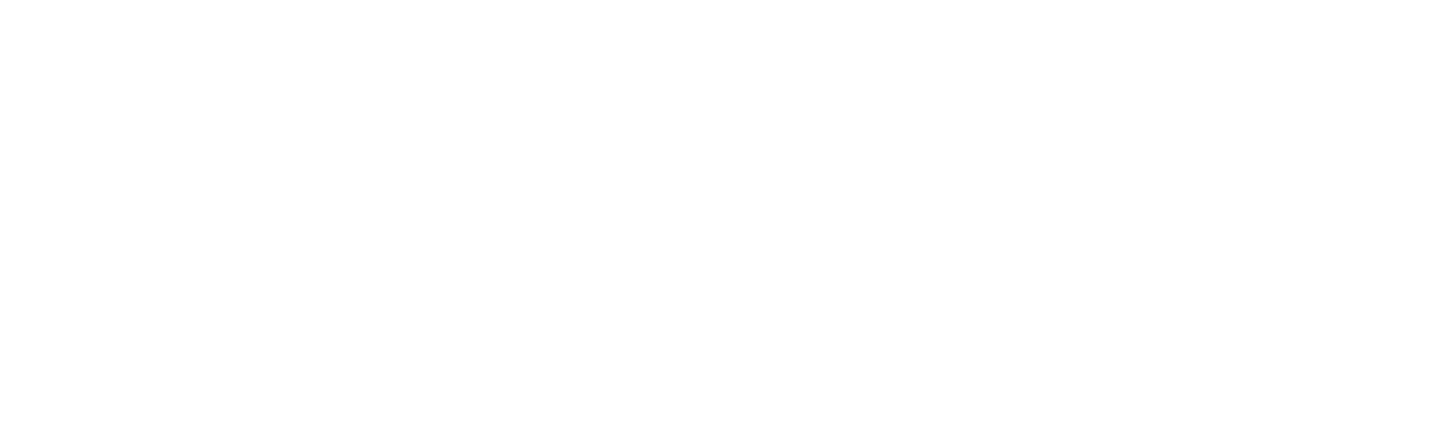HansBiz
